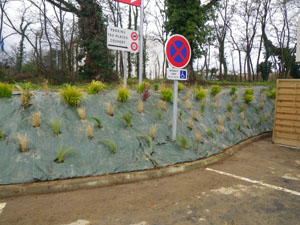 amenagement d'un talus.jpg